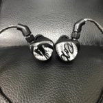 Jerry Harvey Audio Roxanne In-Ear Monitor Review Jerry Harvey Audio Roxanne In-Ear Monitor Review