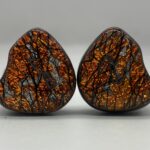 FlipEars Zurq XXIV Review