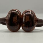 JBL Soundgear Clips Review