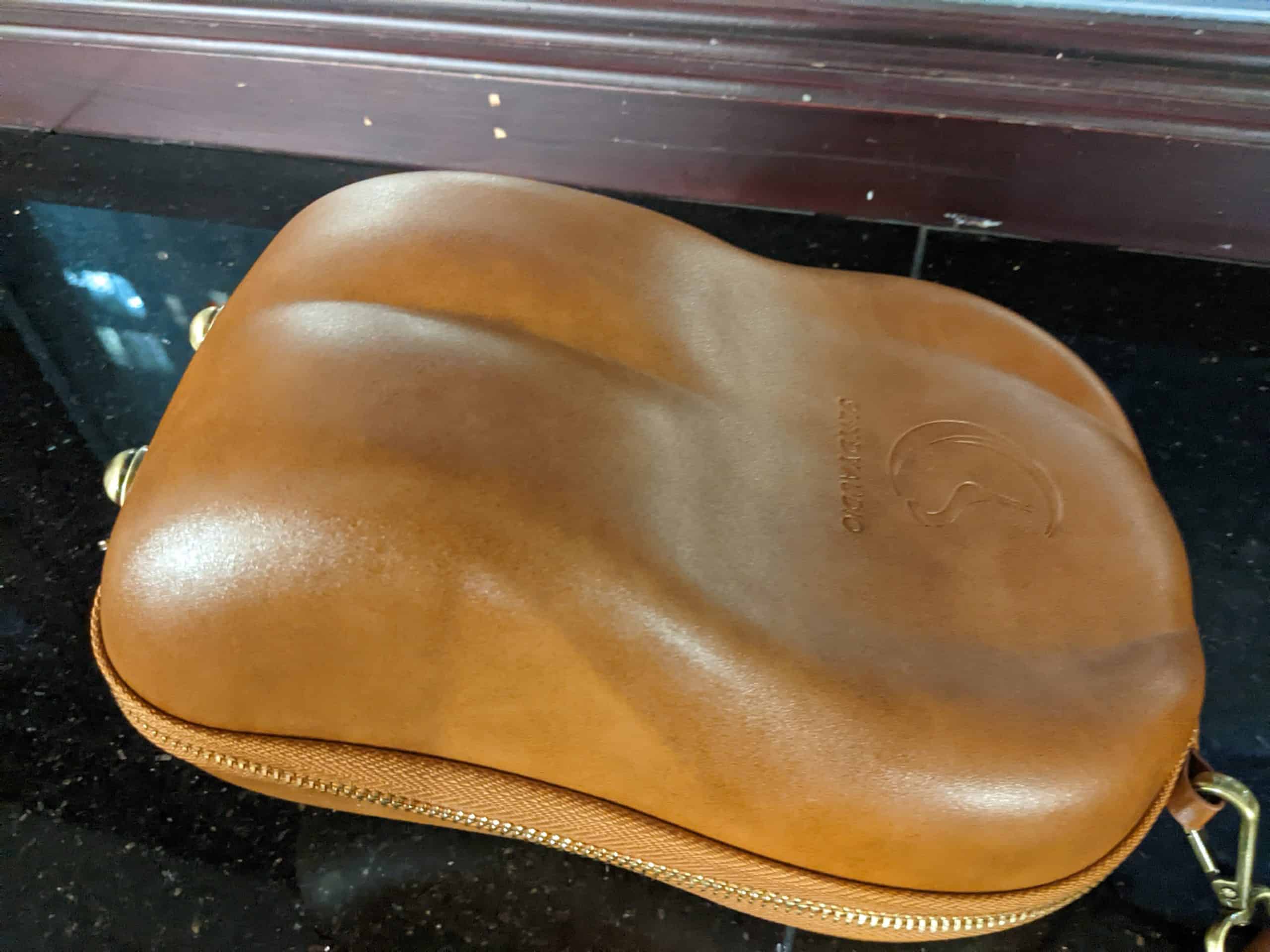 Leather, headphone, carrying case