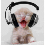 10 Ways To Know You’re A Secret Audiophile Audiophile