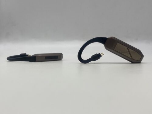 iFi Go Pod Max pair 