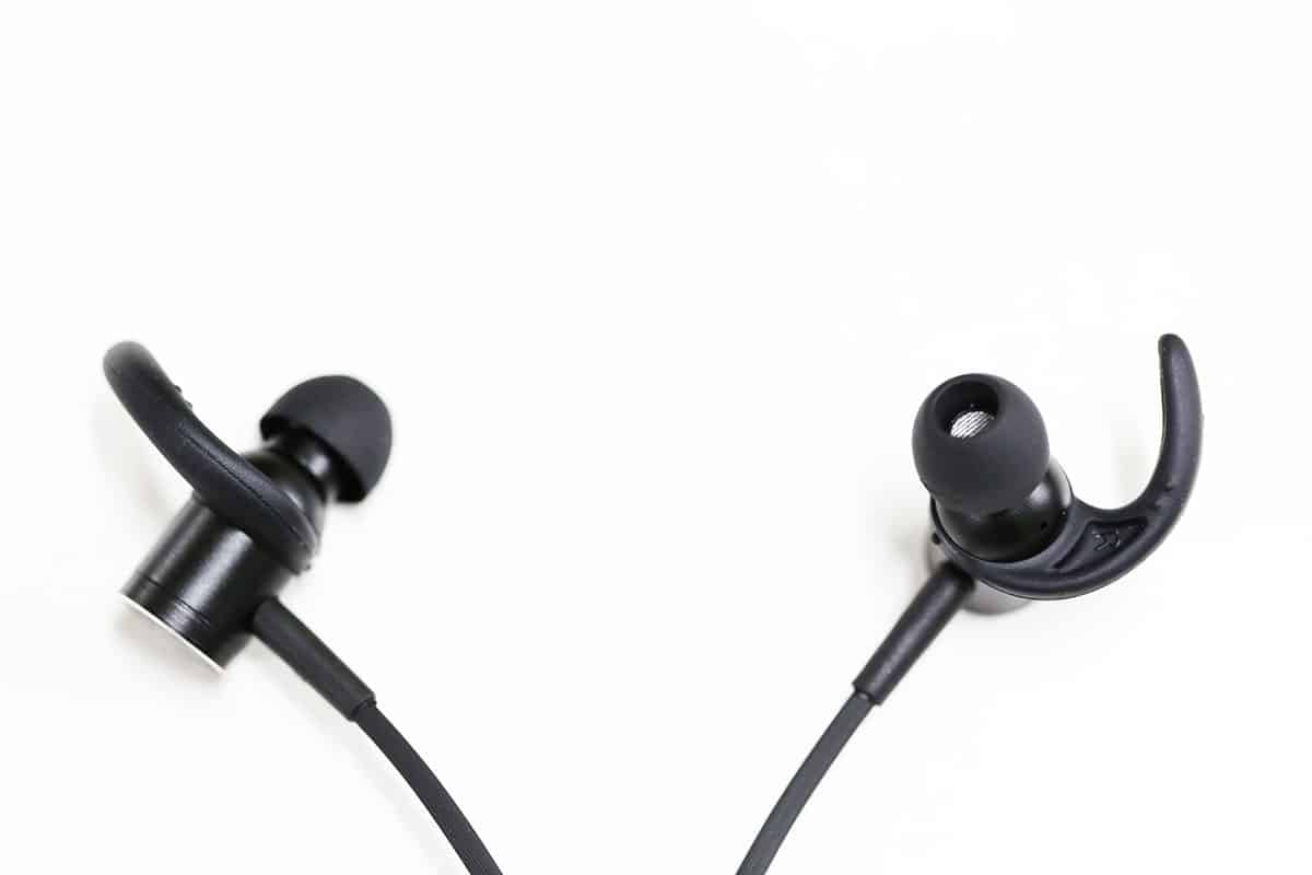 Strauss & Wagner SW-SPW301 Review earpieces from above