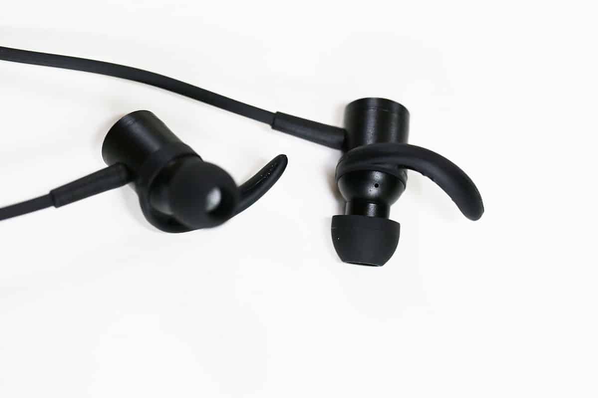 Strauss & Wagner SW-SPW301 Review earpieces detail